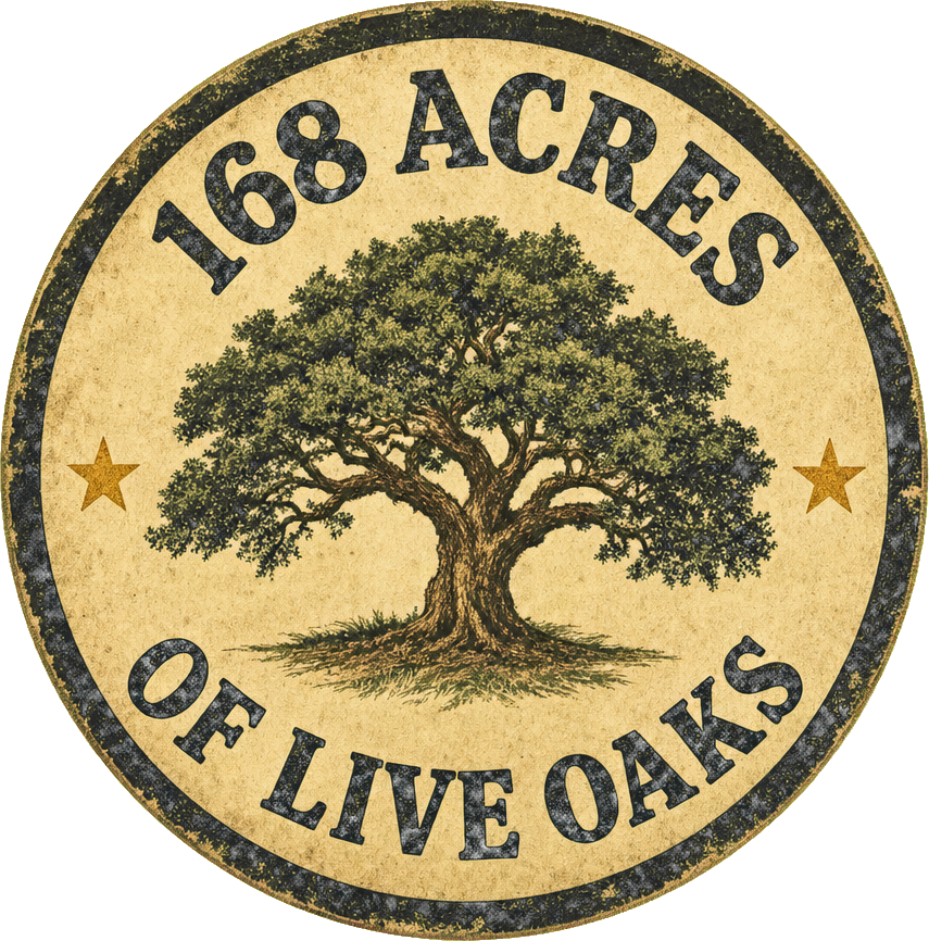 168 acres of live oaks